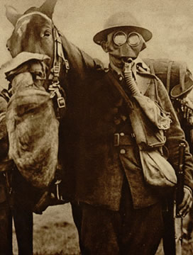 British cavalryman and a horse wearing gas masks